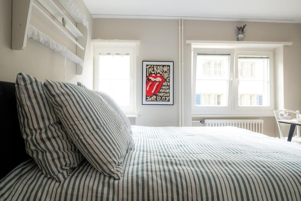 Apartment Im Herzen Der Zuercher Altstadt