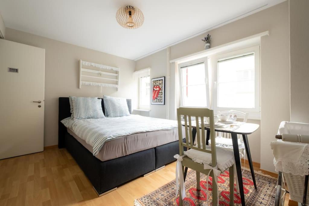 Apartment Im Herzen Der Zuercher Altstadt *