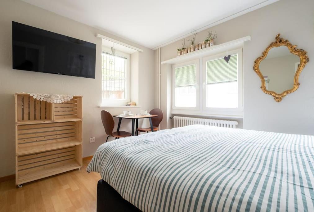 Im Herzen Der Zuercher Altstadt Apartment *