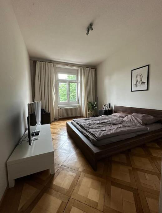 Cozy With Rooftop Apartment Zurich