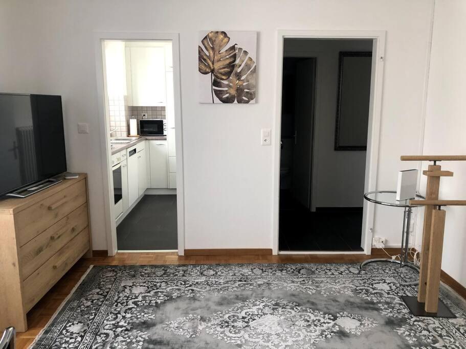 Apartment Bright And Quiet In The Center - Sky1 Zurich