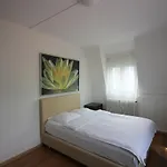 Swiss Star Oerlikon Inn
