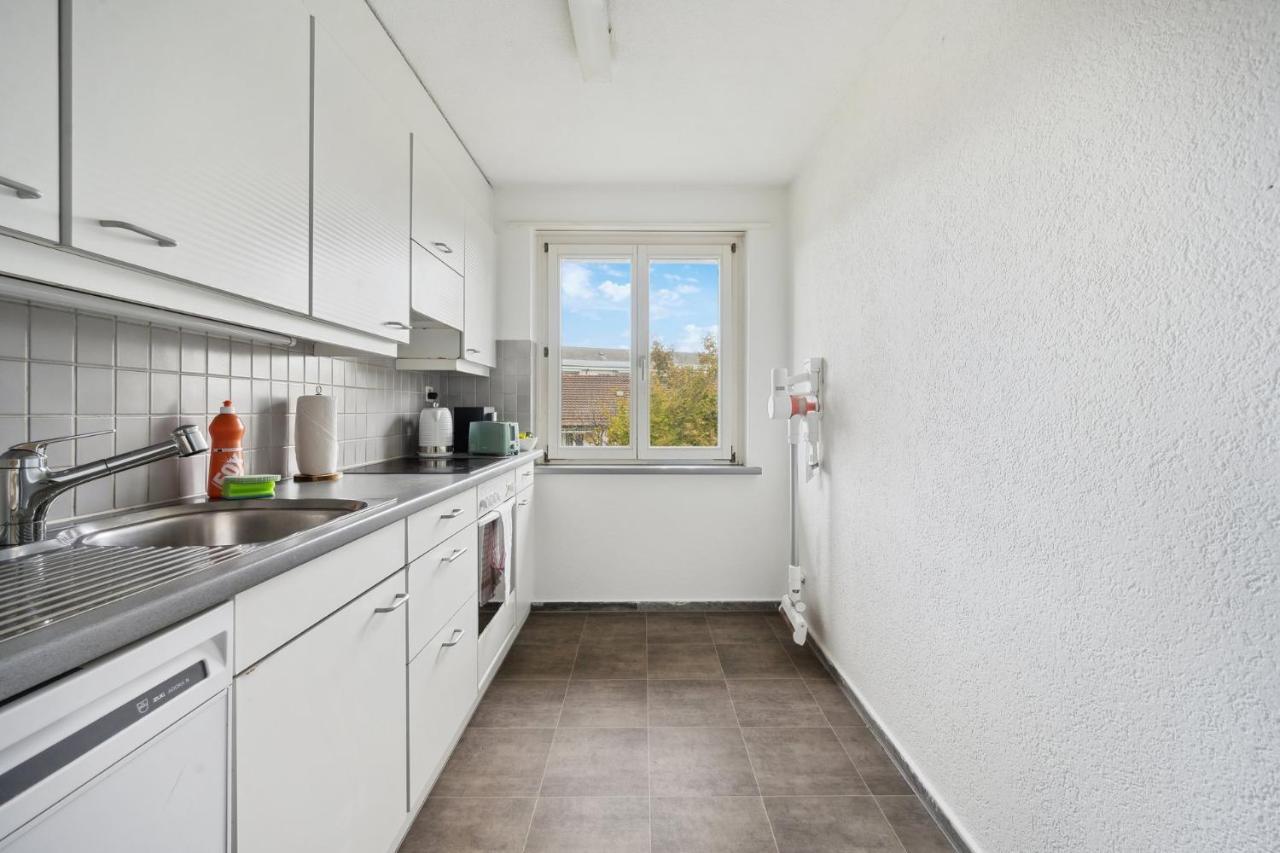 Apartment Altwiesenstrasse 144 Zurich