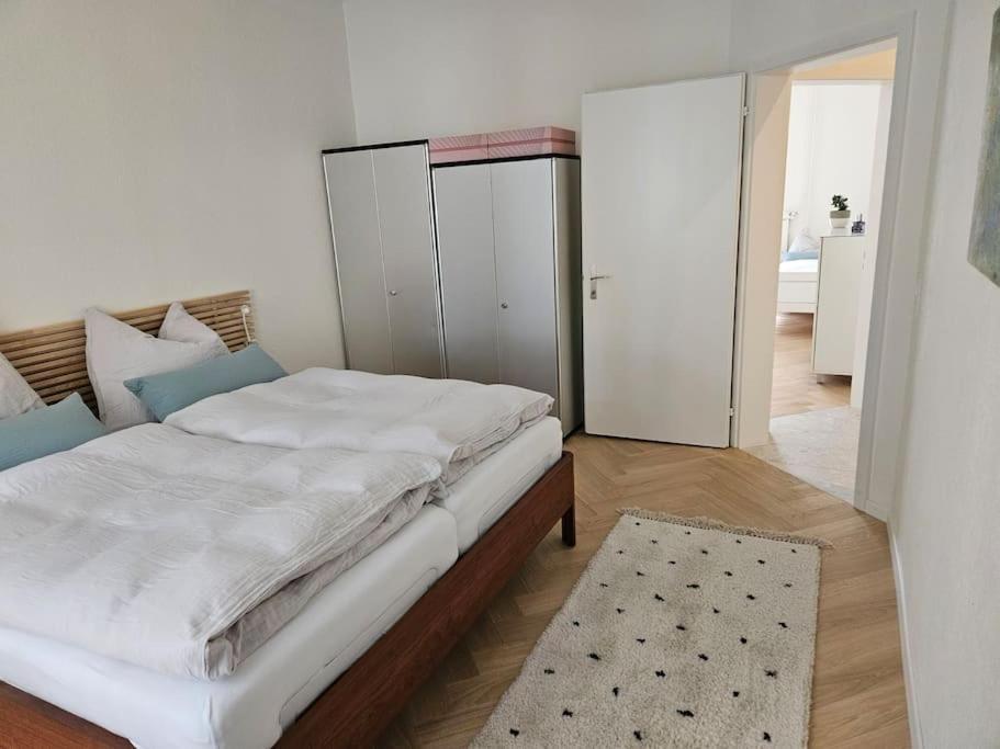 New 2 Bedroom - 15min From Paradeplatz Apartment