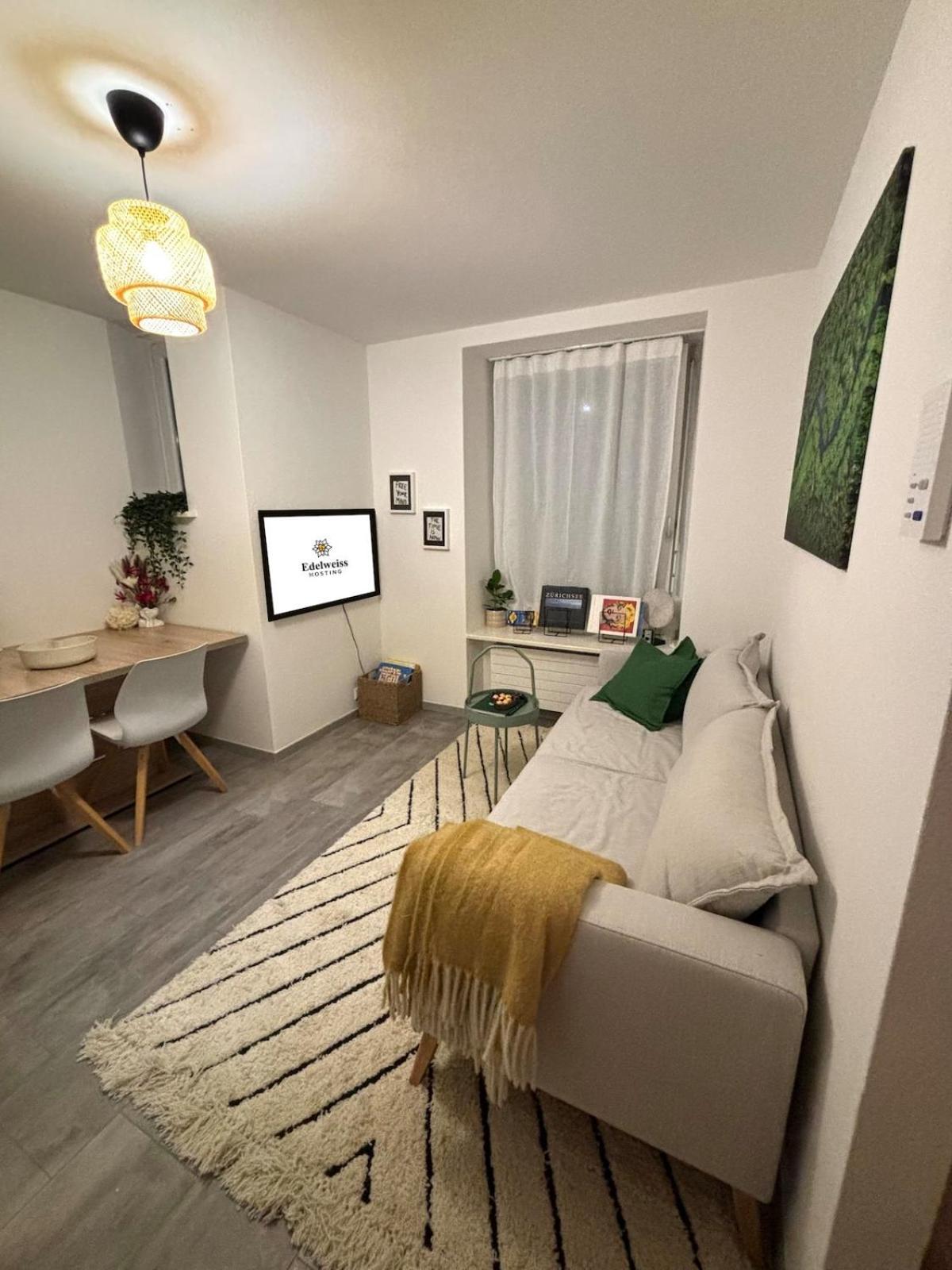 In Center Of Apartment Zurich