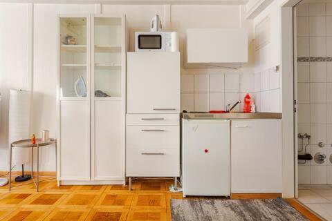 Apartment Center Apt. Old Town Zh