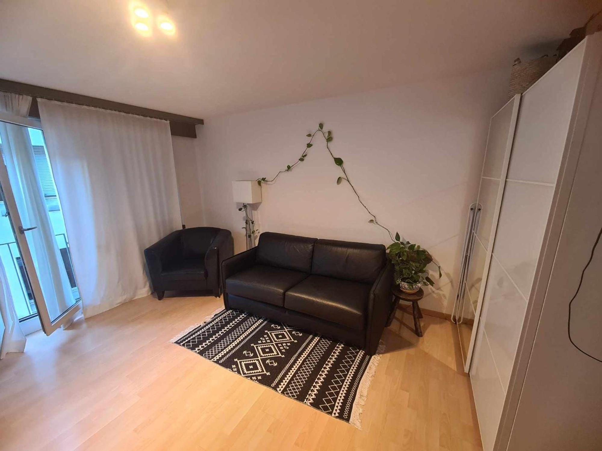 Apartment Cozy In Zurich