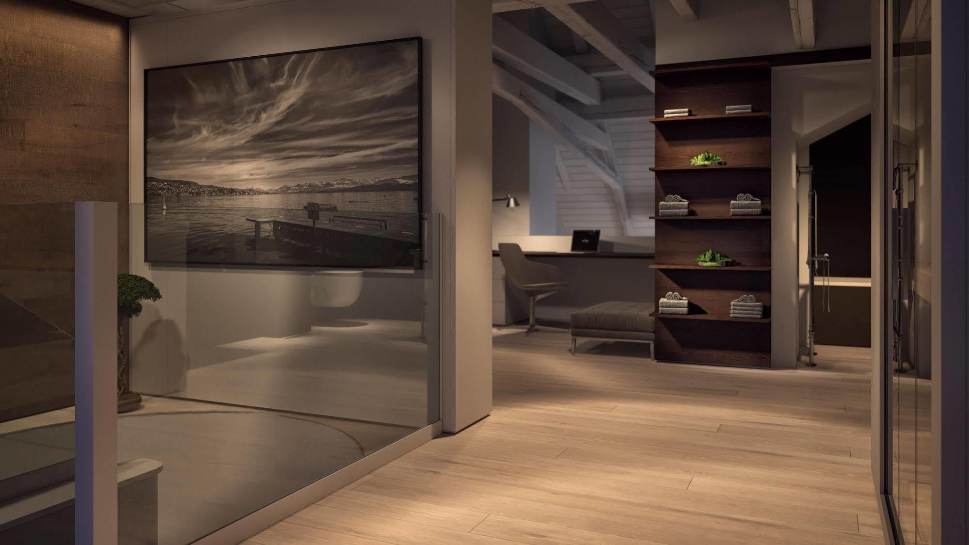 Le Bijou Mh6 Jacuzzi Penthouse At Muensterhof / Paradeplatz Zurich